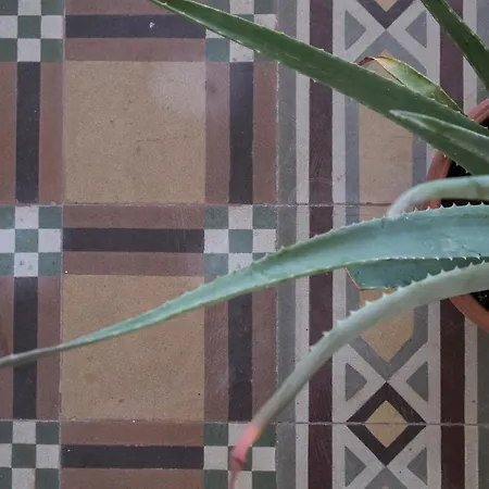 Apartment Nou La Tua Casa In Puglia *